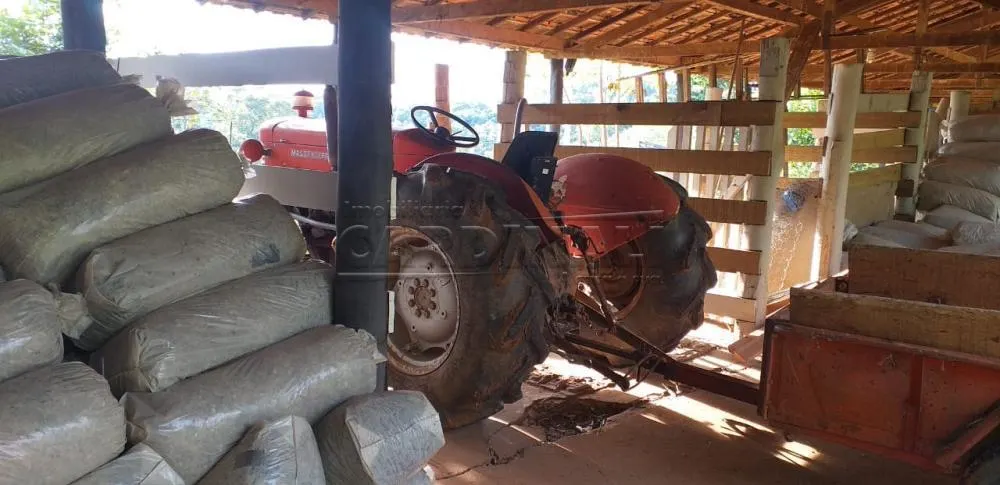 Small farm for sale of 25 acres in Araraquara, SP, Brazil