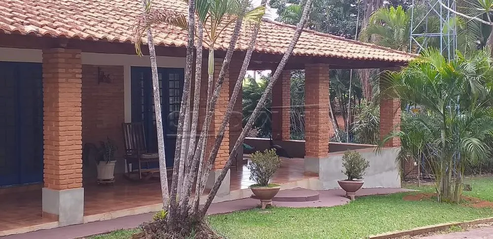 Small farm for sale of 25 acres in Araraquara, SP, Brazil