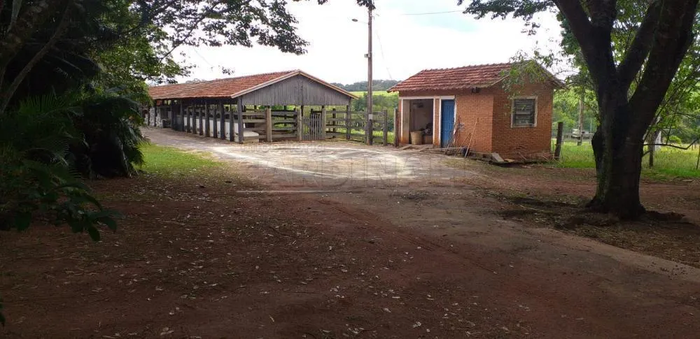 Small farm for sale of 25 acres in Araraquara, SP, Brazil