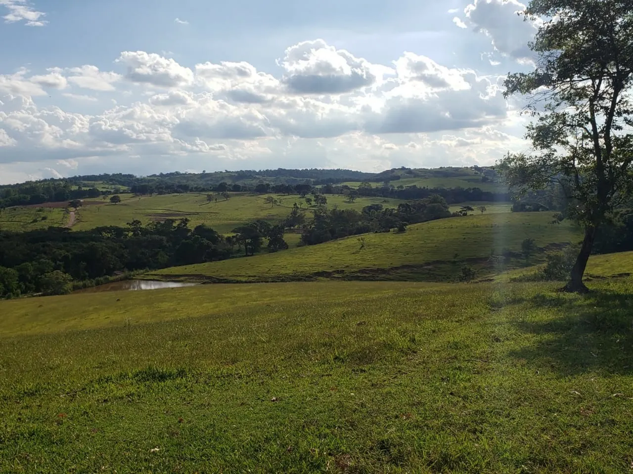 Small farm for sale of 39 acres in Quadra, SP, Brazil