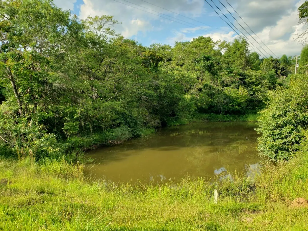 Small farm for sale of 39 acres in Quadra, SP, Brazil