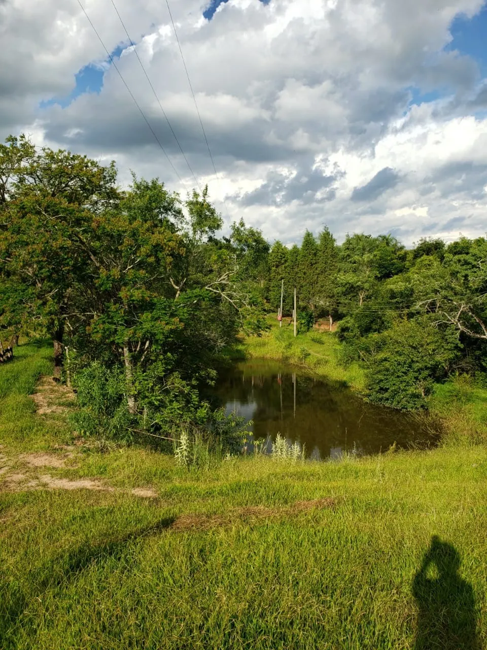 Small farm for sale of 39 acres in Quadra, SP, Brazil