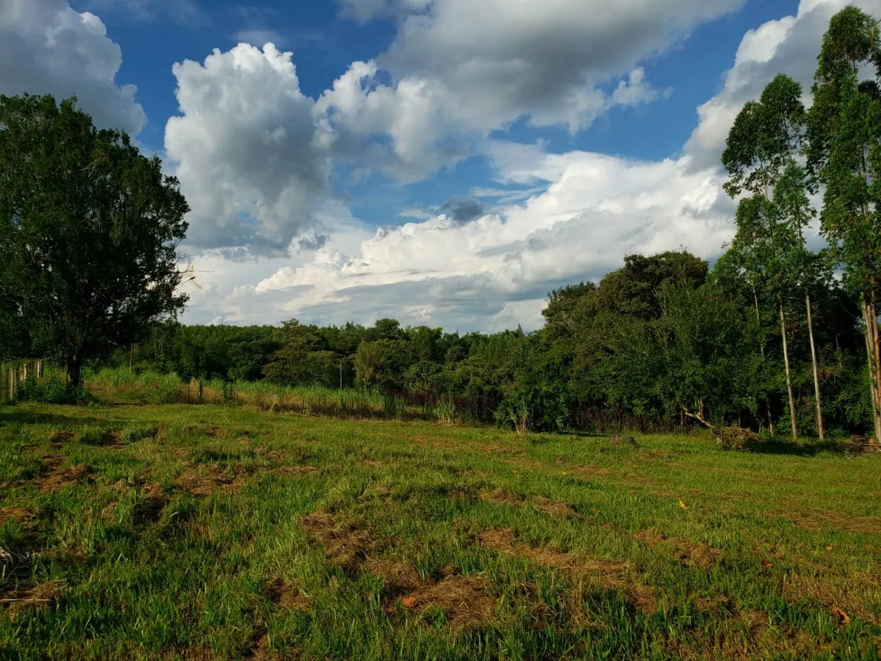 Small farm for sale of 39 acres in Quadra, SP, Brazil