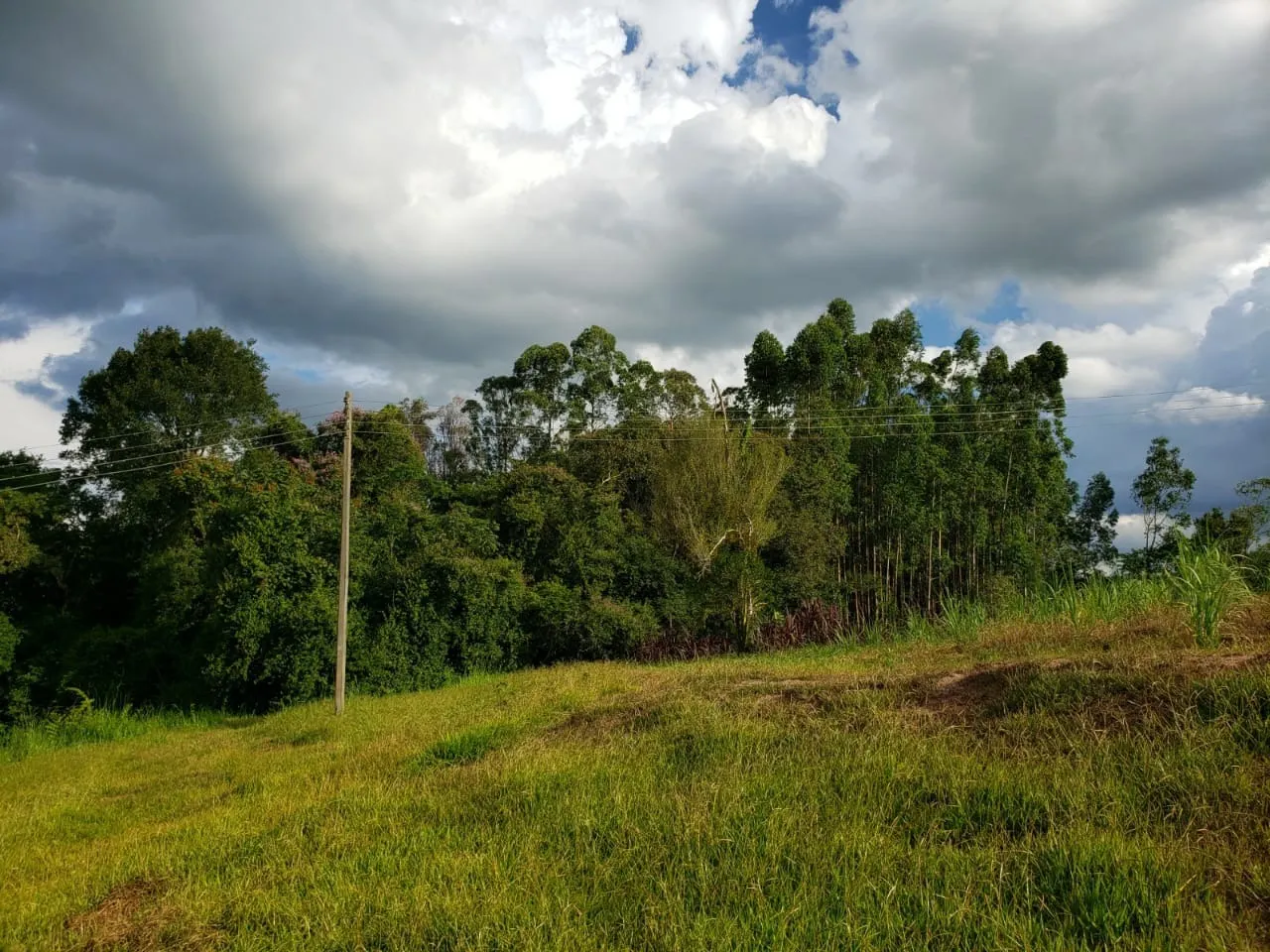 Small farm for sale of 39 acres in Quadra, SP, Brazil