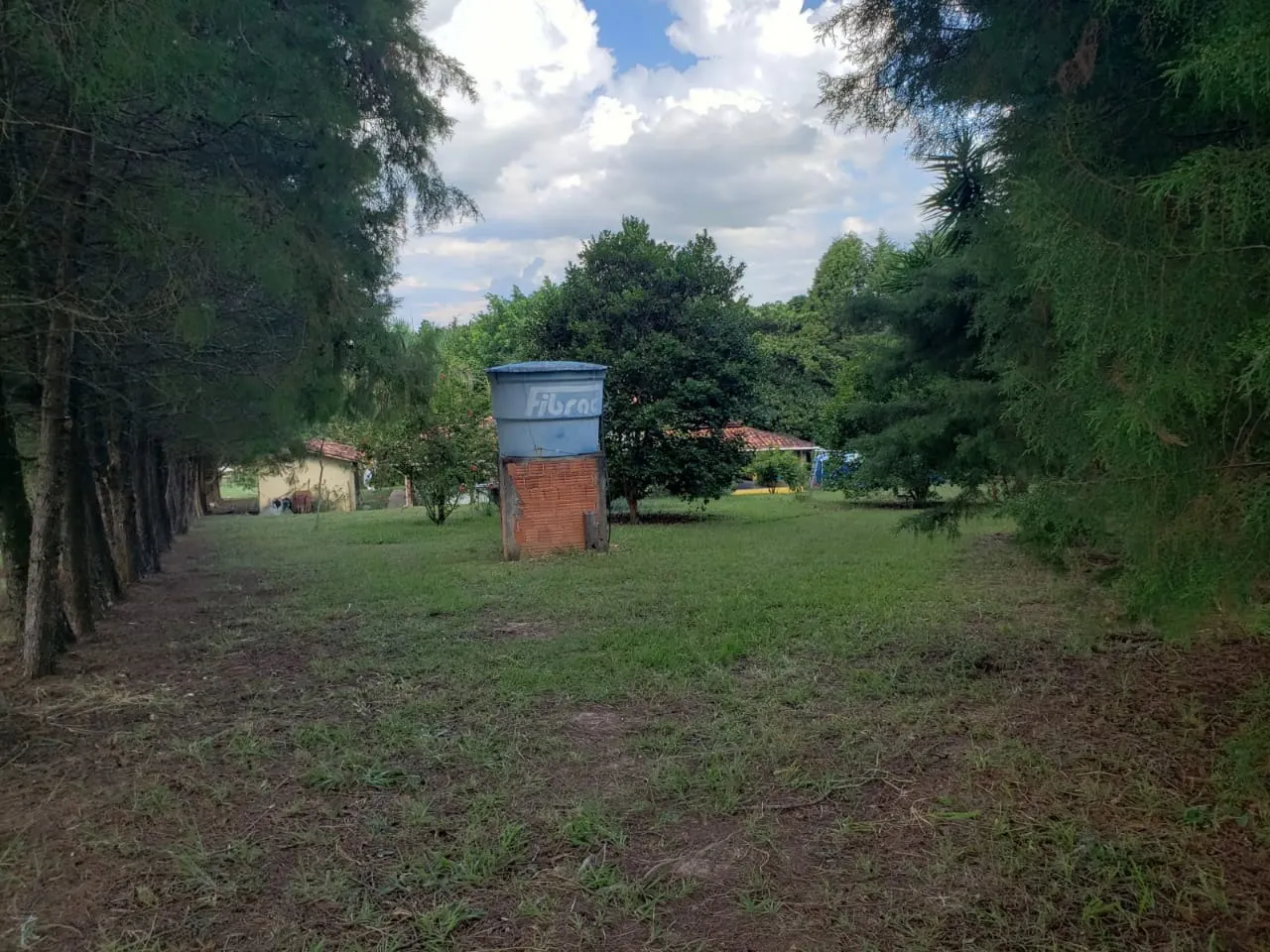 Small farm for sale of 39 acres in Quadra, SP, Brazil