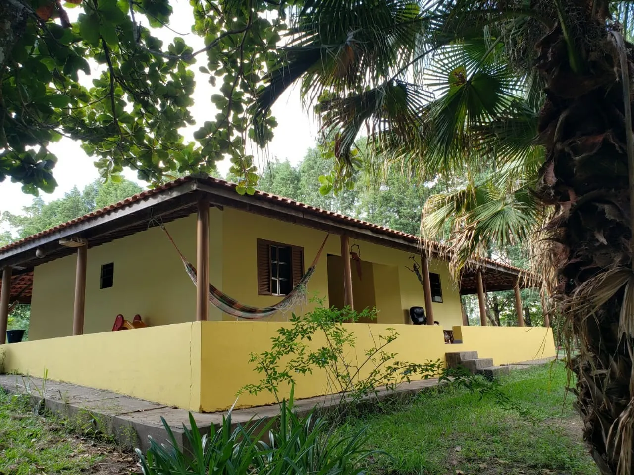 Small farm for sale of 39 acres in Quadra, SP, Brazil