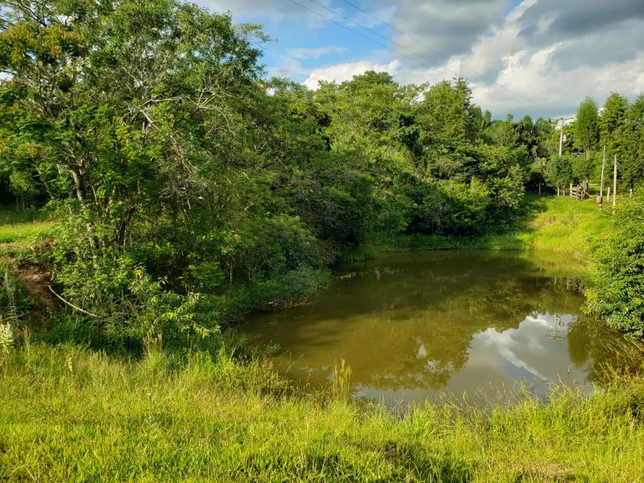 Small farm for sale of 39 acres in Quadra, SP, Brazil