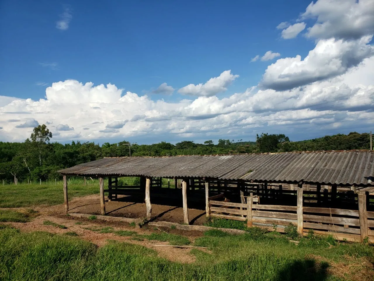 Small farm for sale of 39 acres in Quadra, SP, Brazil