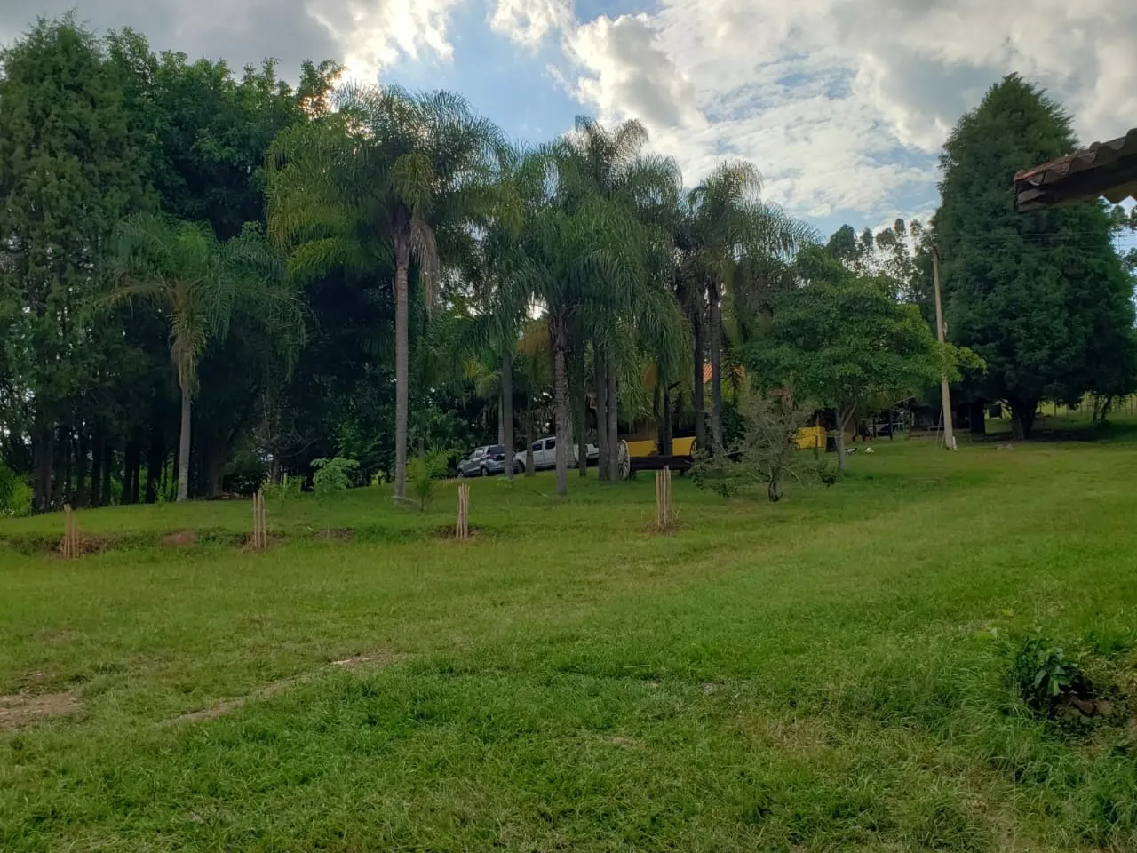 Small farm for sale of 39 acres in Quadra, SP, Brazil