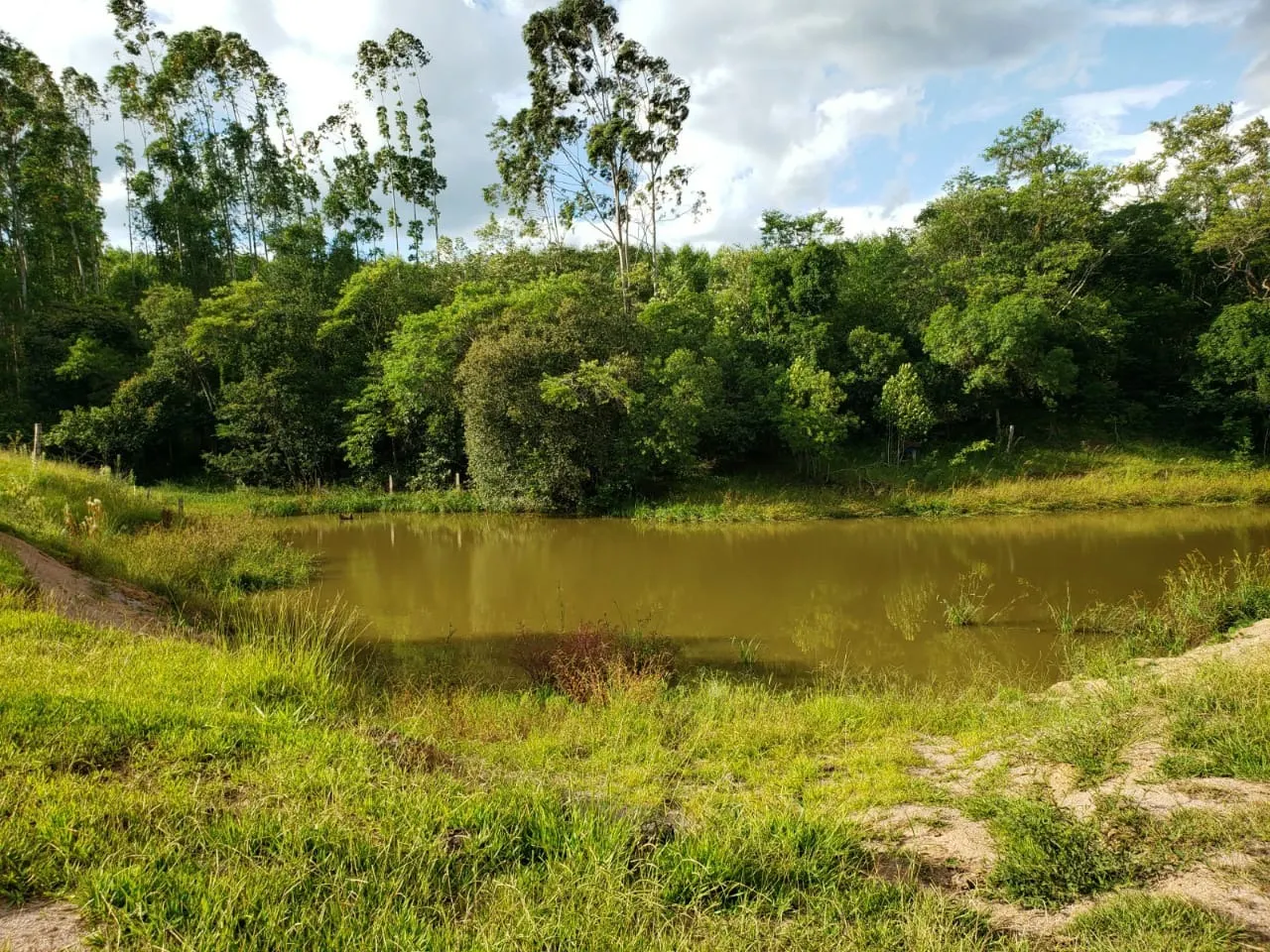 Small farm for sale of 39 acres in Quadra, SP, Brazil