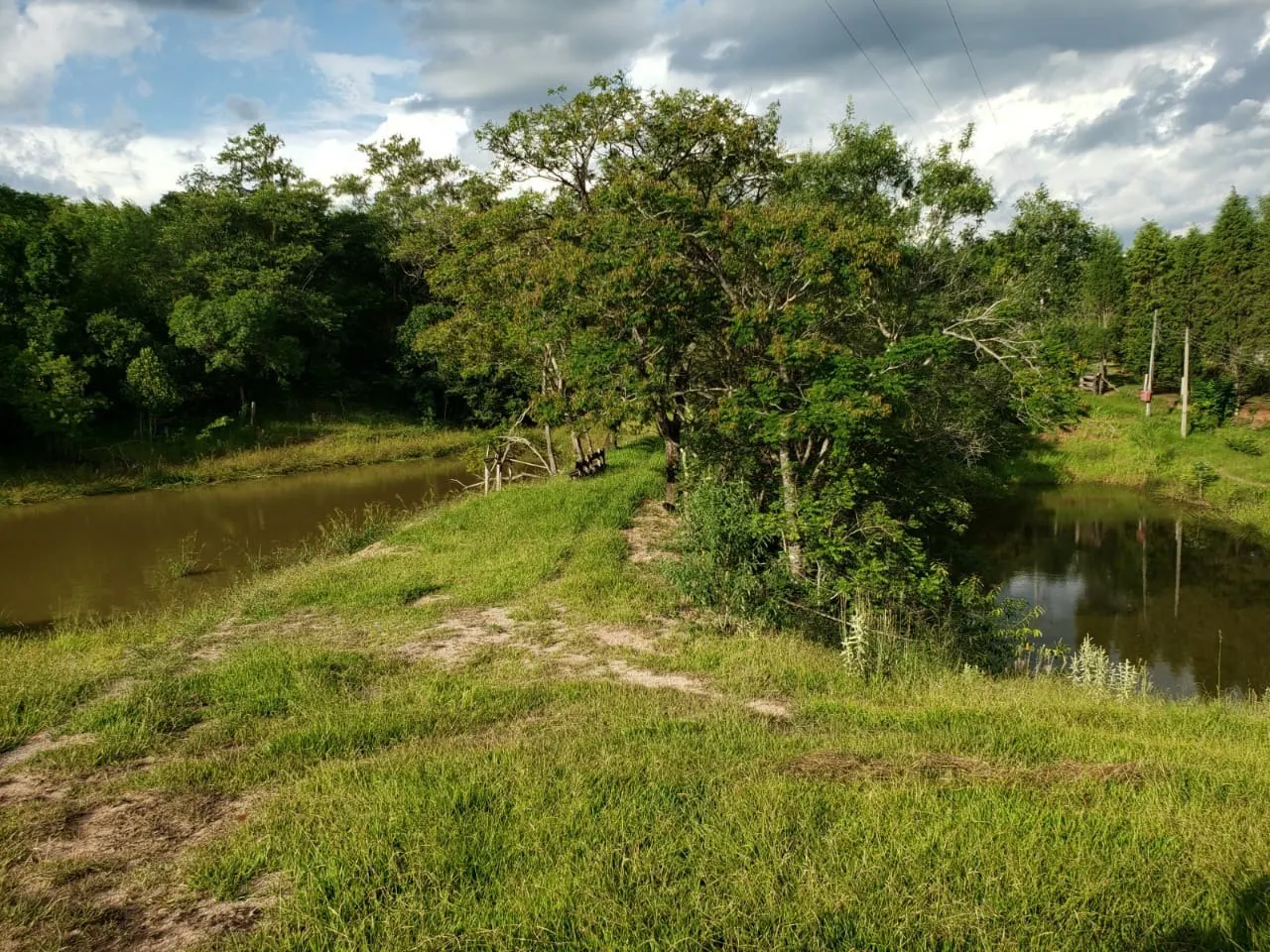 Small farm for sale of 39 acres in Quadra, SP, Brazil