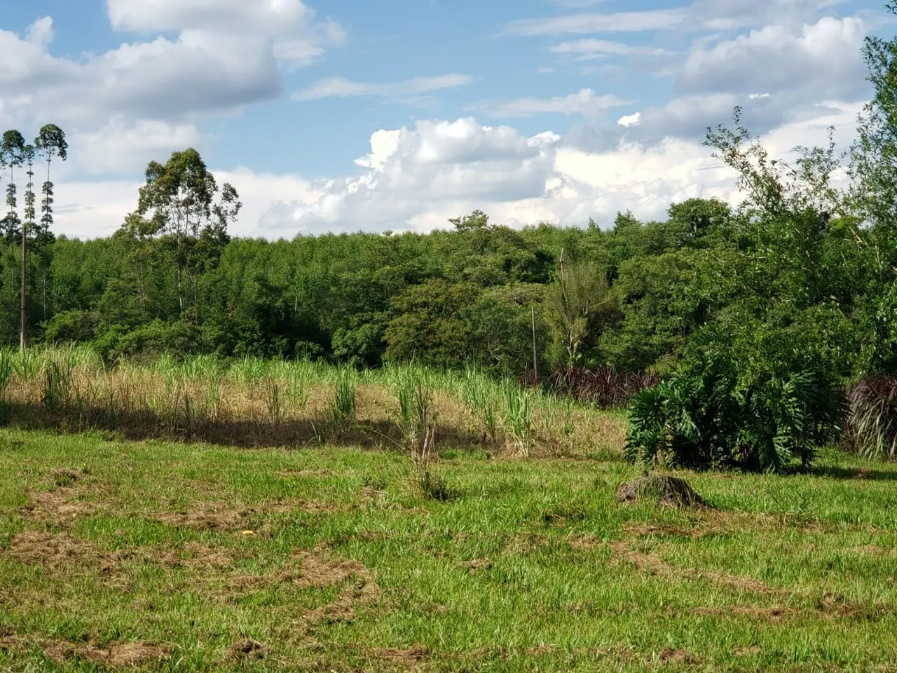 Small farm for sale of 39 acres in Quadra, SP, Brazil