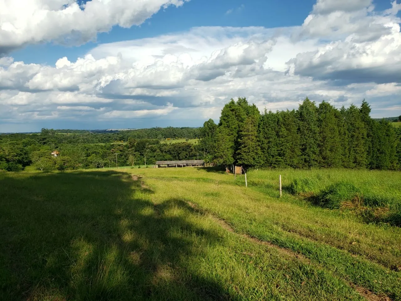 Small farm for sale of 39 acres in Quadra, SP, Brazil
