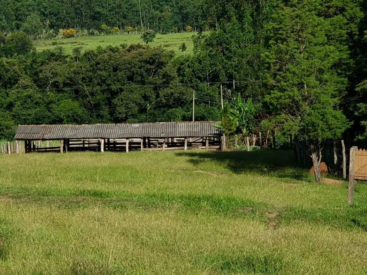 Small farm for sale of 39 acres in Quadra, SP, Brazil