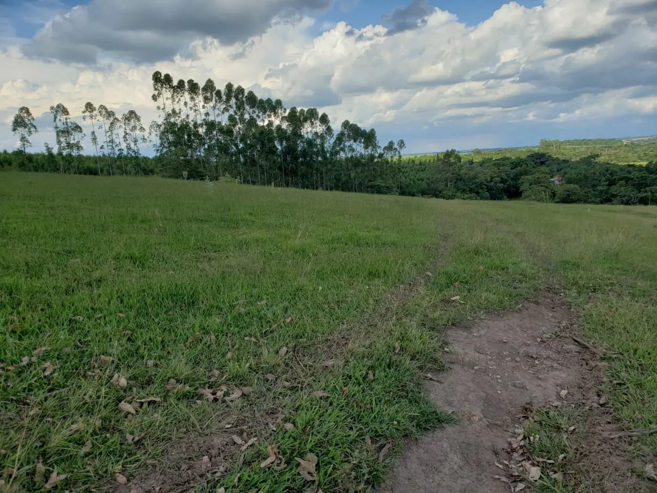 Small farm for sale of 39 acres in Quadra, SP, Brazil