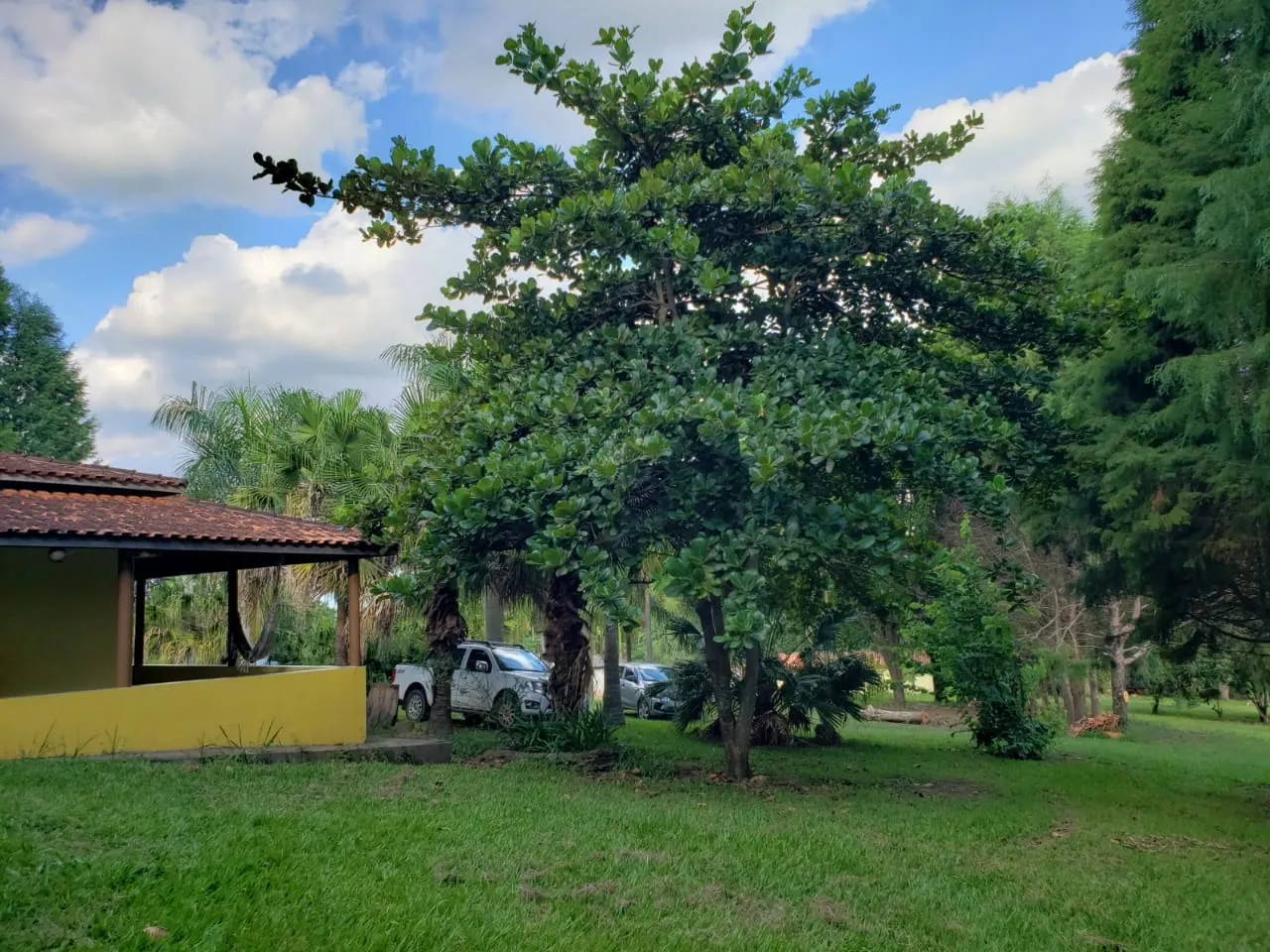 Small farm for sale of 39 acres in Quadra, SP, Brazil