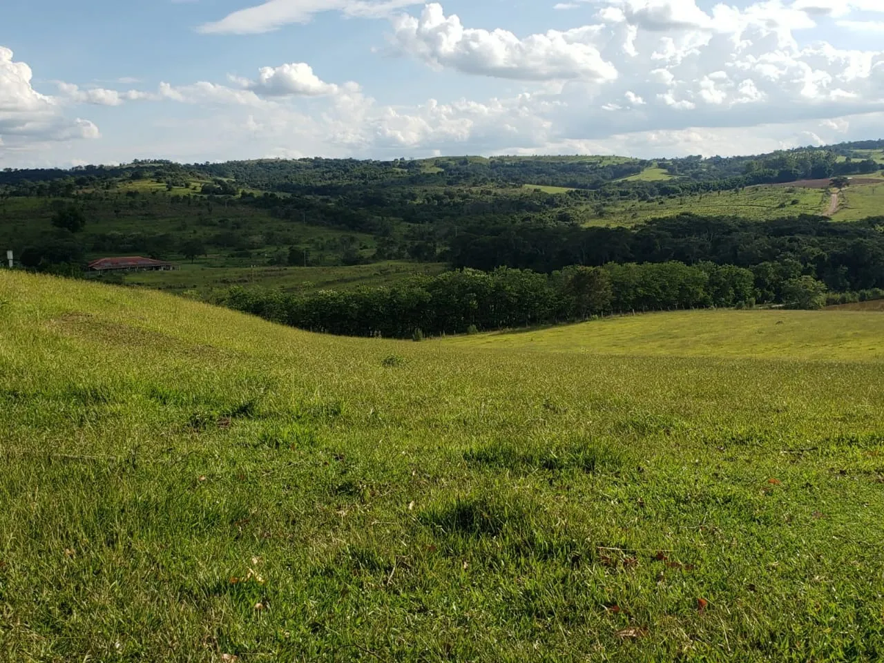 Small farm for sale of 39 acres in Quadra, SP, Brazil