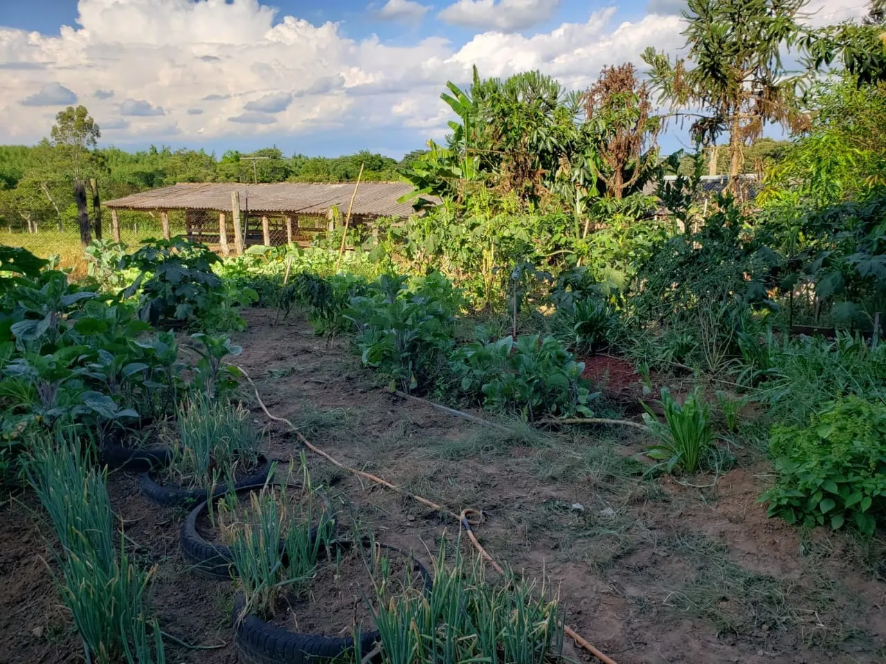 Small farm for sale of 39 acres in Quadra, SP, Brazil