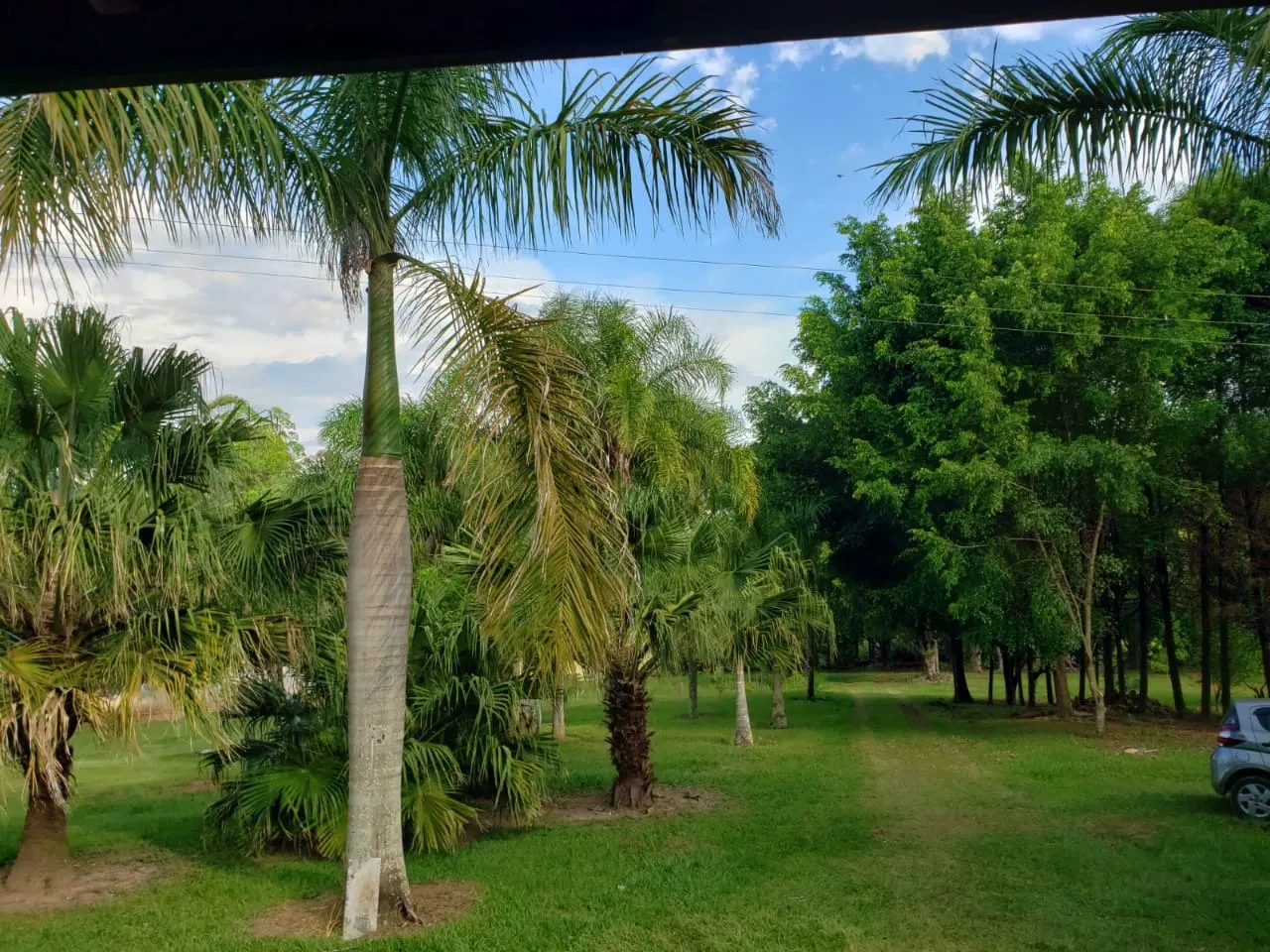 Small farm for sale of 39 acres in Quadra, SP, Brazil