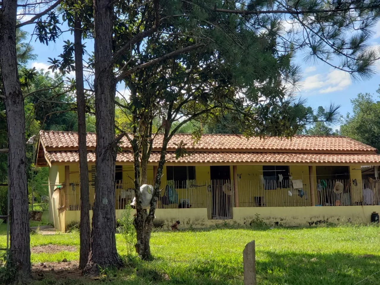 Small farm for sale of 39 acres in Quadra, SP, Brazil