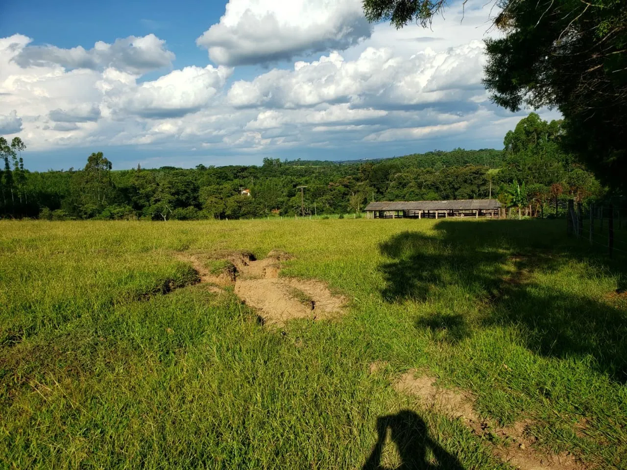 Small farm for sale of 39 acres in Quadra, SP, Brazil