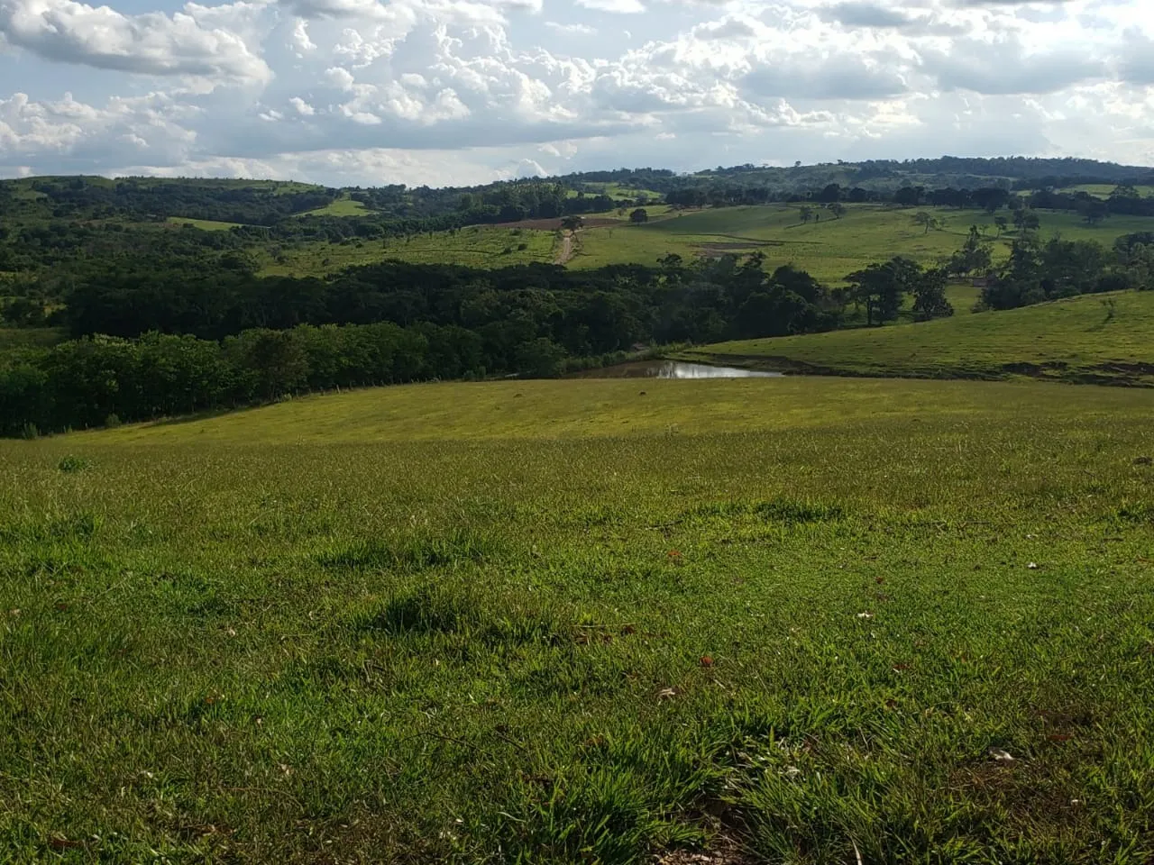 Small farm for sale of 39 acres in Quadra, SP, Brazil