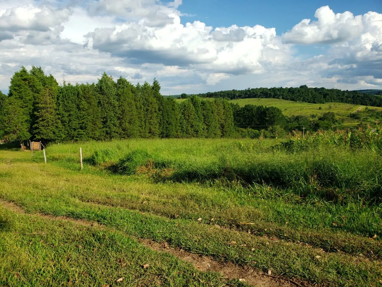 Small farm for sale of 39 acres in Quadra, SP, Brazil