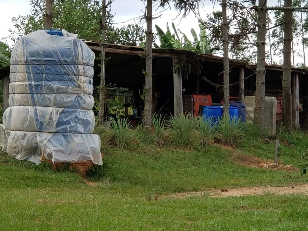 Small farm for sale of 39 acres in Quadra, SP, Brazil