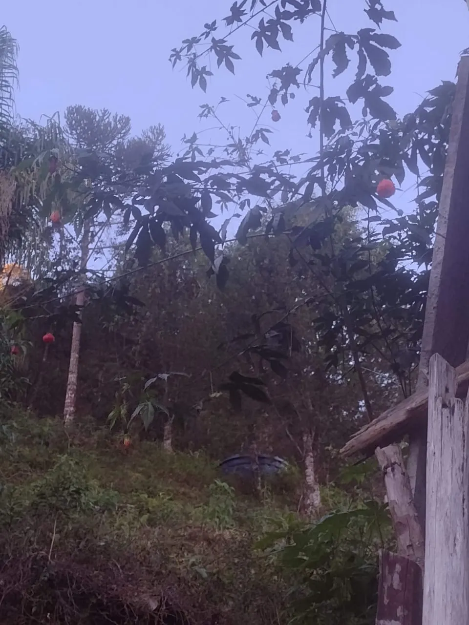 Sítio à venda de 6.000 m² em Itamonte, MG, Brasil