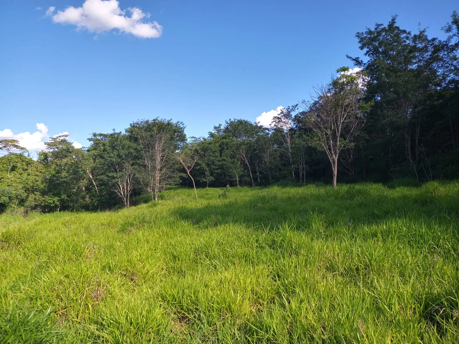 Farm for sale of 47 acres in Unaí, MG, Brazil