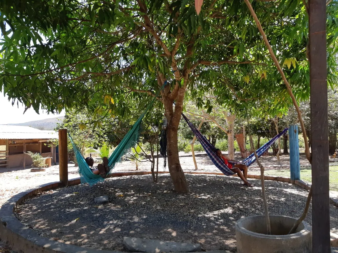 Farm for sale of 47 acres in Unaí, MG, Brazil