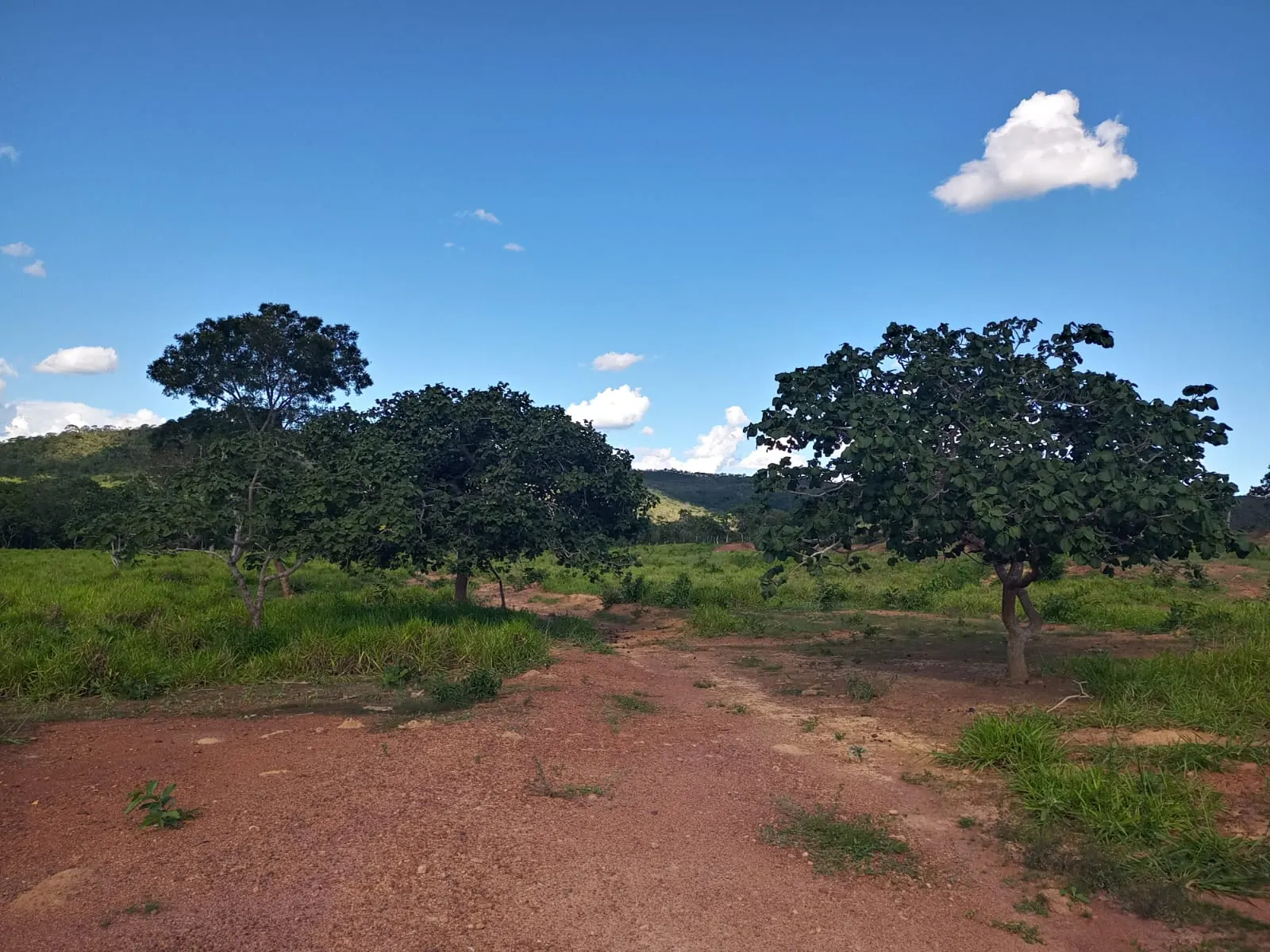 Farm for sale of 47 acres in Unaí, MG, Brazil