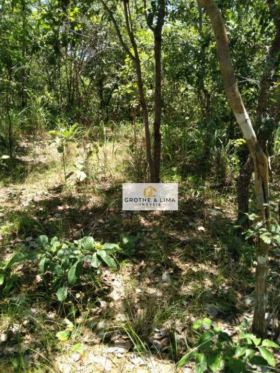 Fazenda à venda de 387 ha em Formoso do Araguaia, TO, Brasil