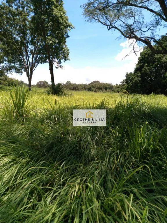 Fazenda à venda de 387 ha em Formoso do Araguaia, TO, Brasil