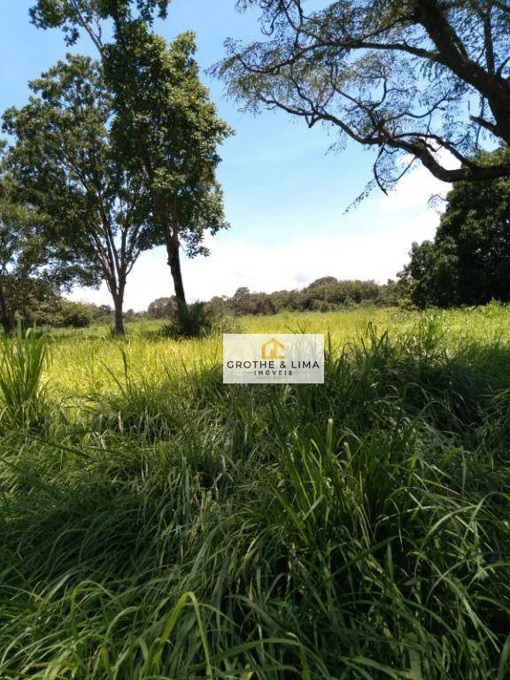 Fazenda à venda de 387 ha em Formoso do Araguaia, TO, Brasil