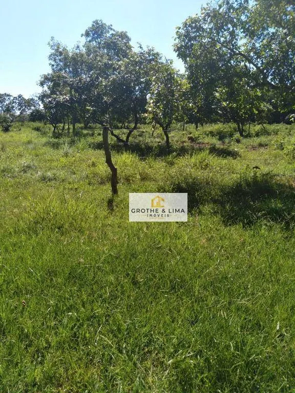 Fazenda à venda de 387 ha em Formoso do Araguaia, TO, Brasil