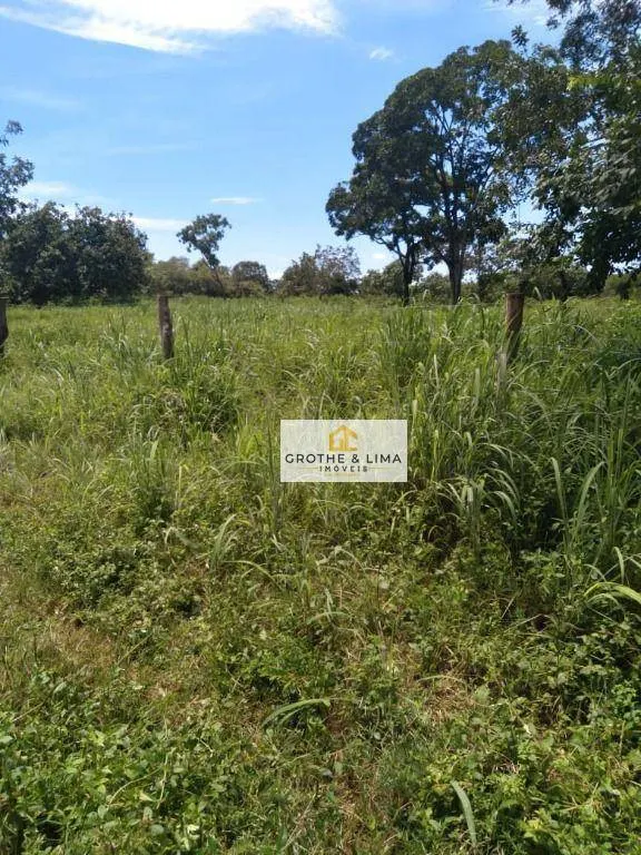 Fazenda à venda de 387 ha em Formoso do Araguaia, TO, Brasil
