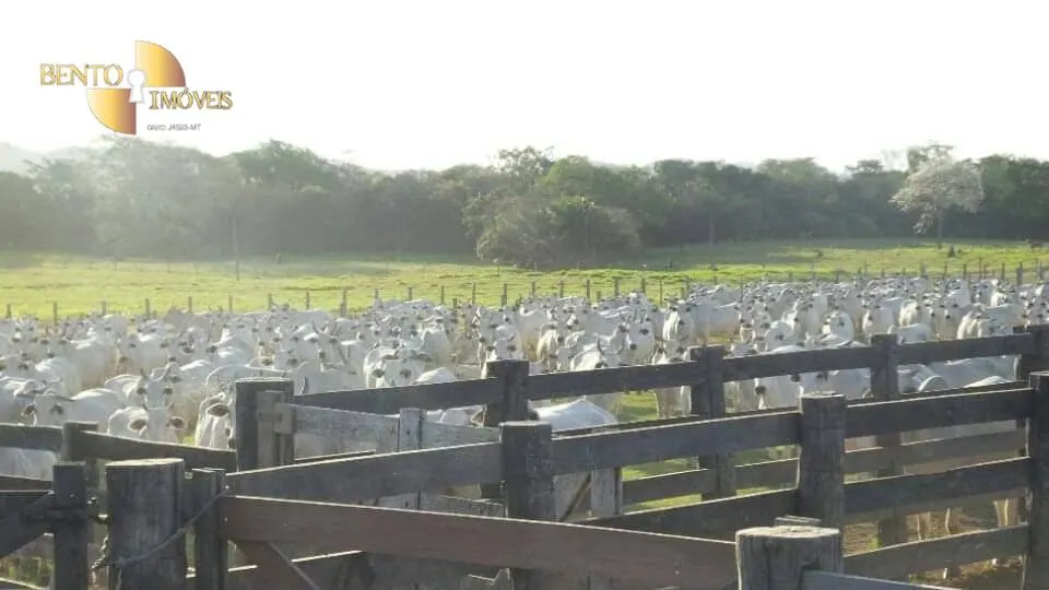 Sítio à venda de 79 ha em Miranda, MS, Brasil