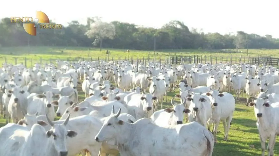 Sítio à venda de 79 ha em Miranda, MS, Brasil
