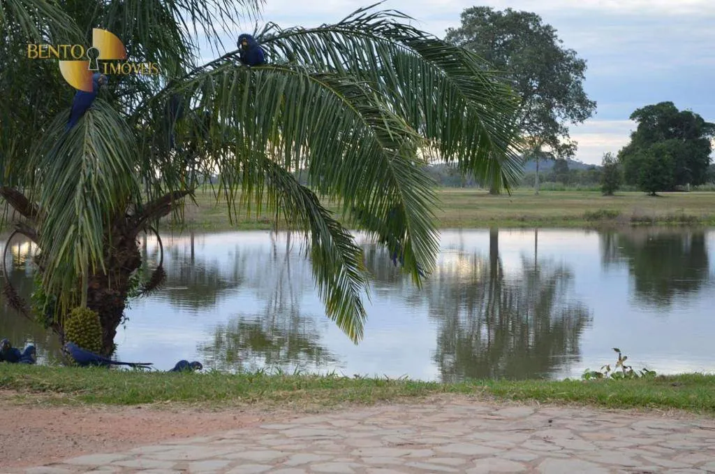 Sítio à venda de 79 ha em Miranda, MS, Brasil