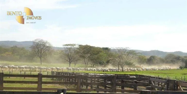 Sítio à venda de 79 ha em Miranda, MS, Brasil