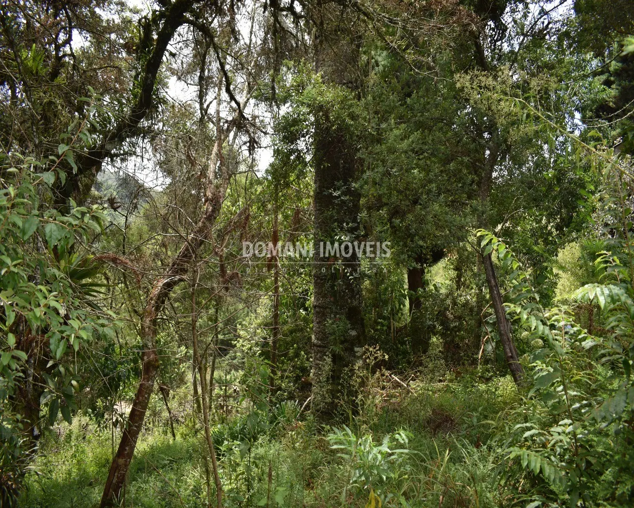 House for sale of 3,130 m² in Campos do Jordão, SP, Brazil