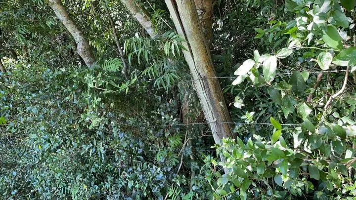 Sítio à venda de 14 ha em Caraá, RS, Brasil