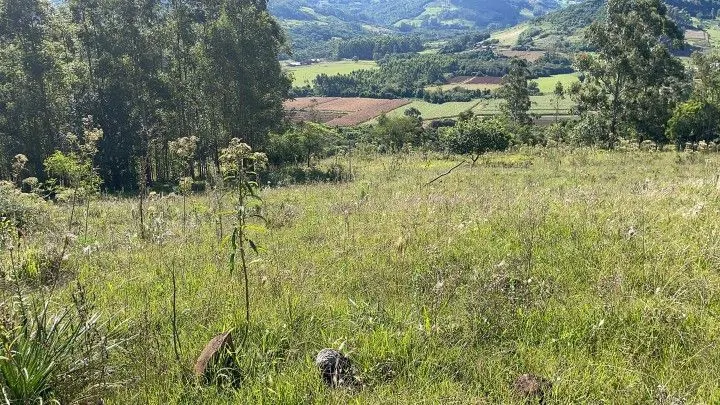 Sítio à venda de 14 ha em Caraá, RS, Brasil