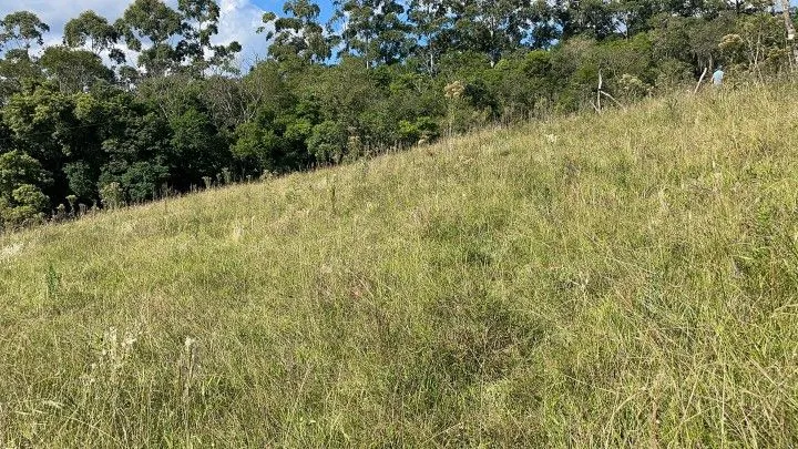 Sítio à venda de 14 ha em Caraá, RS, Brasil