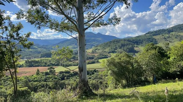 Sítio à venda de 14 ha em Caraá, RS, Brasil
