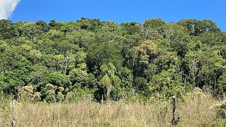 Sítio à venda de 14 ha em Caraá, RS, Brasil