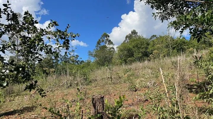 Sítio à venda de 14 ha em Caraá, RS, Brasil