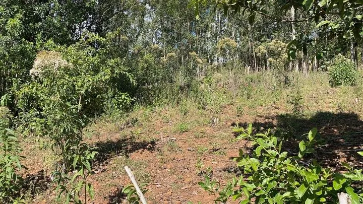 Sítio à venda de 14 ha em Caraá, RS, Brasil