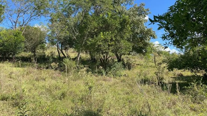 Sítio à venda de 14 ha em Caraá, RS, Brasil